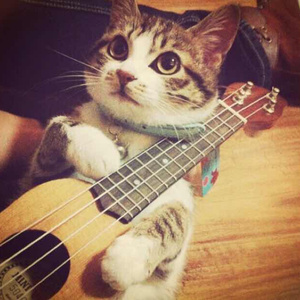 女人女人给男人女人女人带男人女人女人的男人打洞
